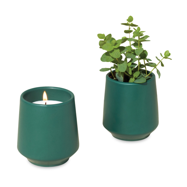 Modern Sprout® Rooted Candle - Thyme
