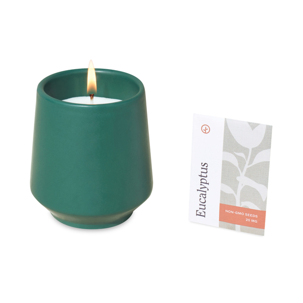 Modern Sprout® Rooted Candle - Thyme