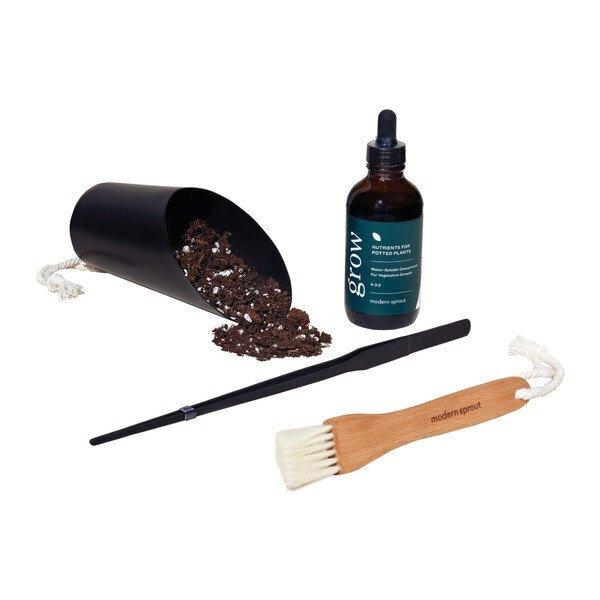 Modern Sprout® Plant Parent Care Kit