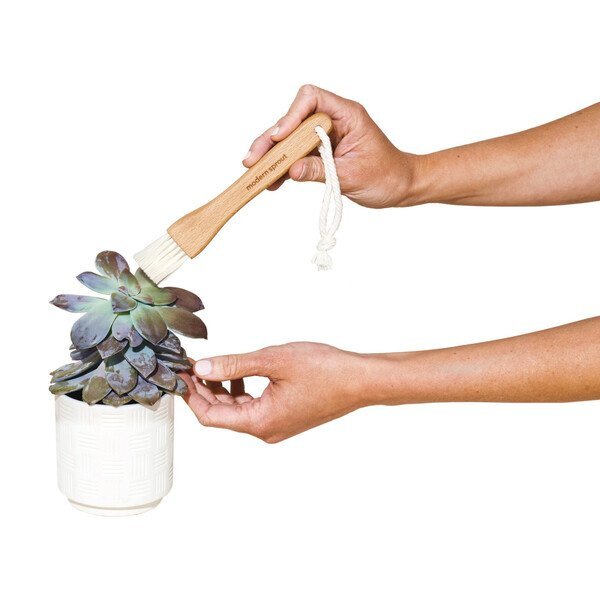 Modern Sprout® Plant Parent Care Kit