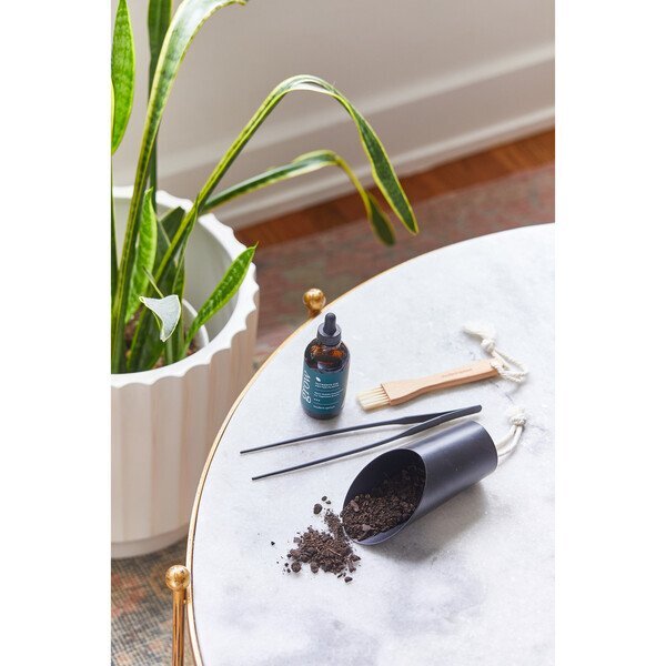 Modern Sprout® Plant Parent Care Kit