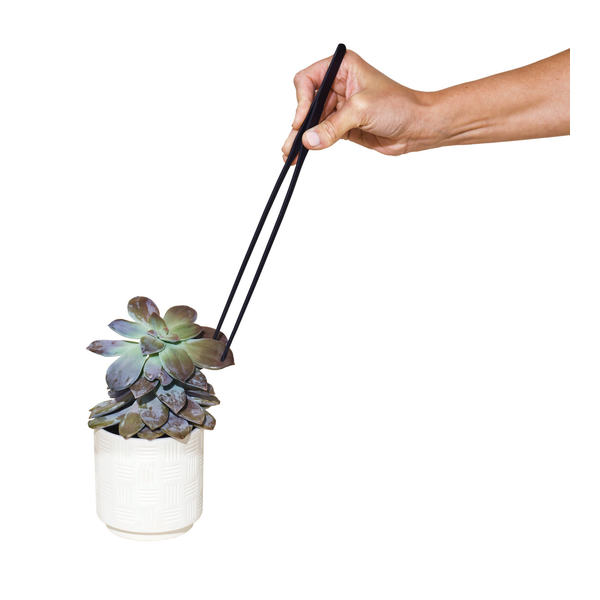 Modern Sprout® Plant Parent Care Kit