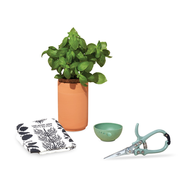 Modern Sprout® Growing Gourmet Gift Set