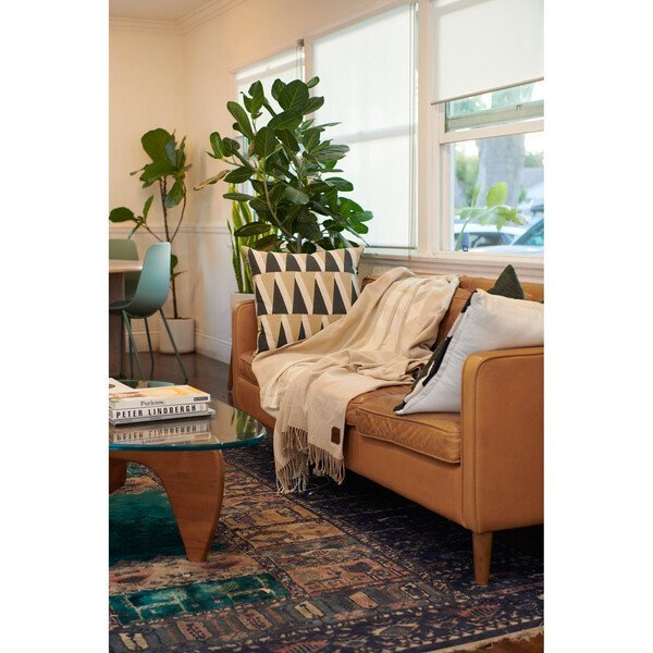 Slowtide® Brushed Cotton Throw Blanket, 70" x 55"