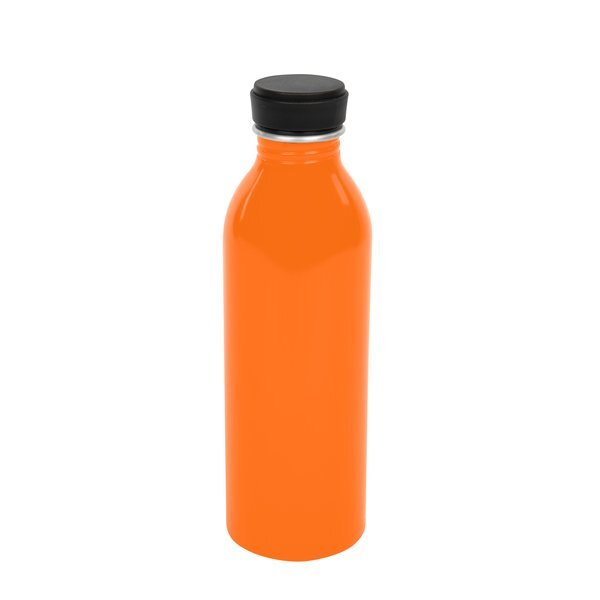 Colby Aluminum Bottle, 17oz.