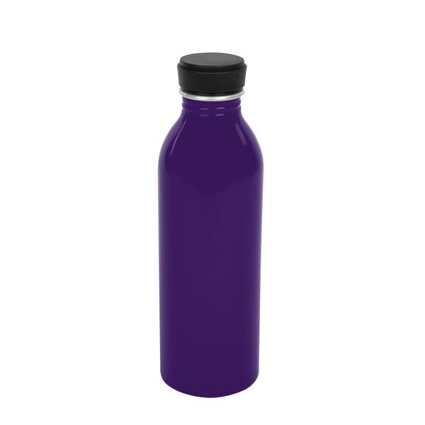 Colby Aluminum Bottle, 17oz.