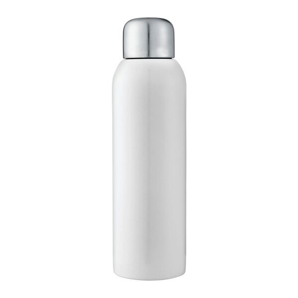 Guzzle Single Wall Stainless Sport Bottle, 28oz.