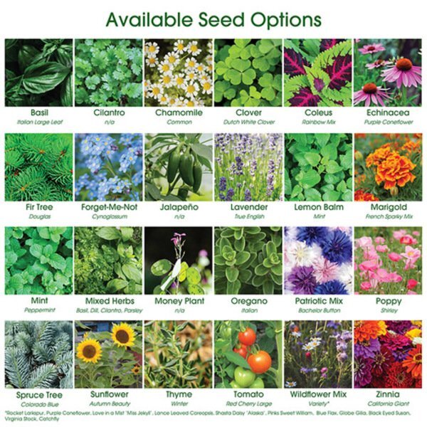 Terzetto Blossom Kit