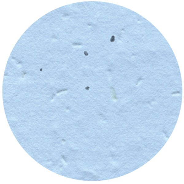 Circle Seed Paper Shape w/ Bookmark