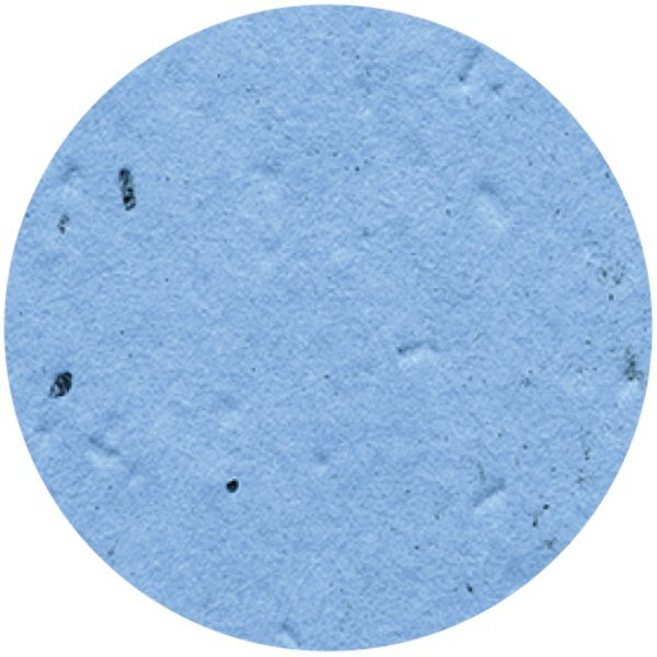 Circle Seed Paper Shape w/ Bookmark