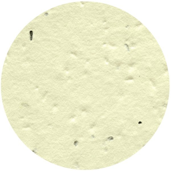 Circle Seed Paper Shape w/ Bookmark