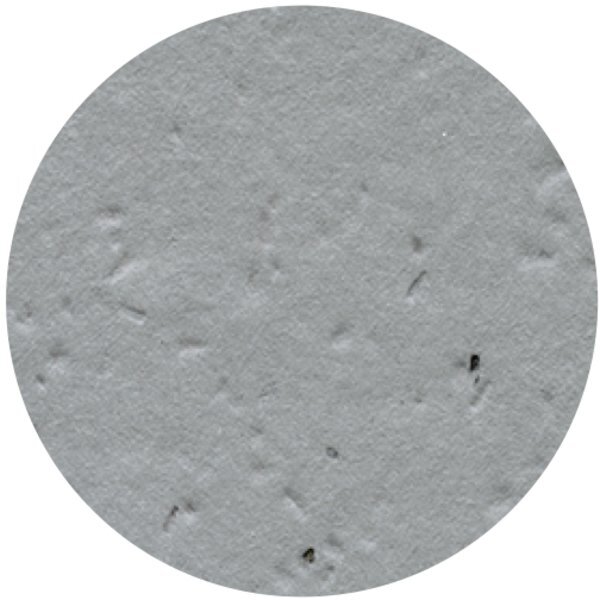 Circle Seed Paper Shape w/ Bookmark