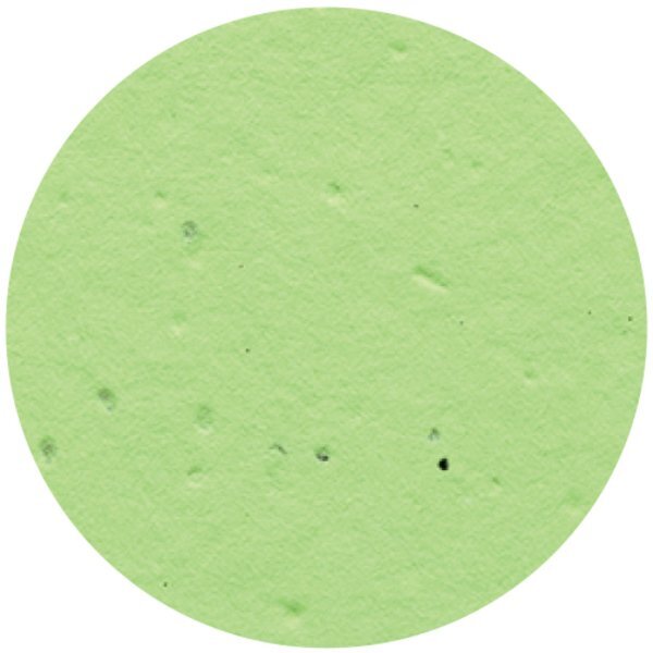 Circle Seed Paper Shape w/ Bookmark