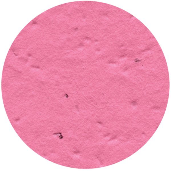 Circle Seed Paper Shape w/ Bookmark