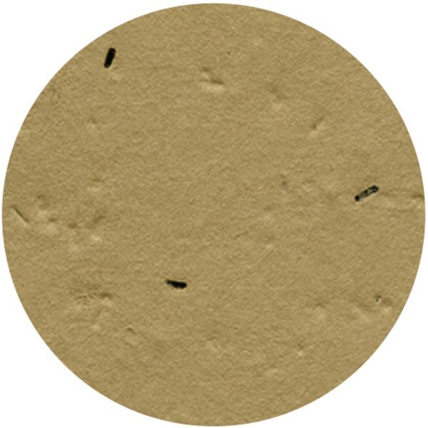 Circle Seed Paper Shape w/ Bookmark