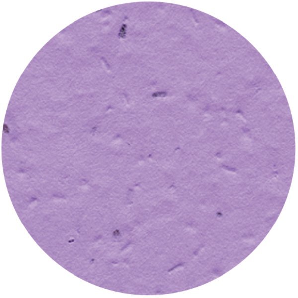 Circle Seed Paper Shape w/ Bookmark