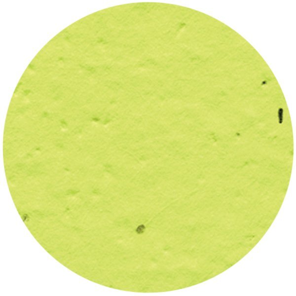 Circle Seed Paper Shape w/ Bookmark