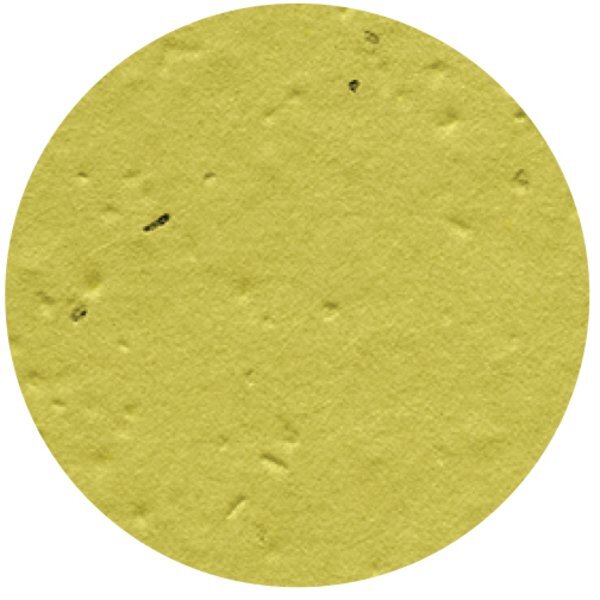 Circle Seed Paper Shape w/ Bookmark