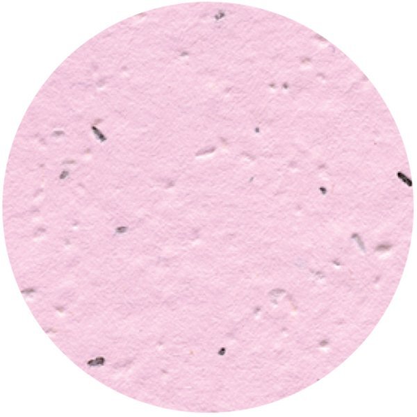 Circle Seed Paper Shape w/ Bookmark