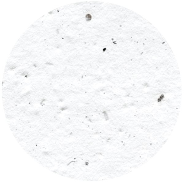 Circle Seed Paper Shape w/ Bookmark