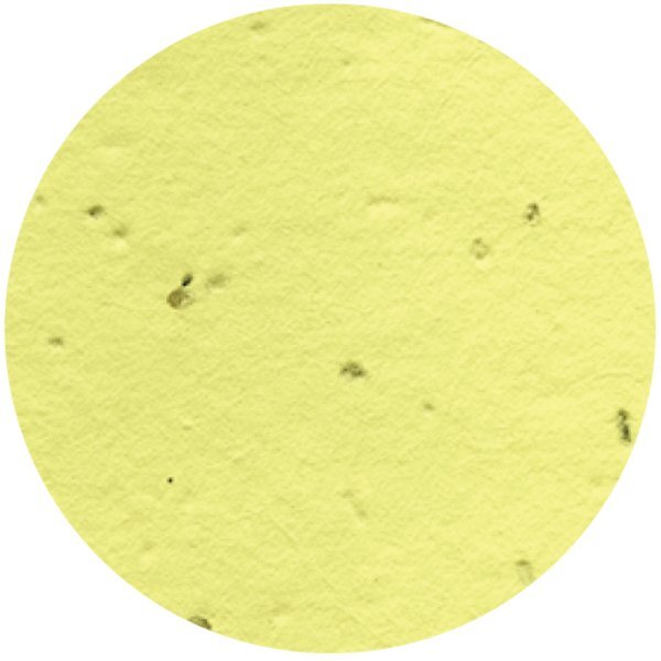 Circle Seed Paper Shape w/ Bookmark