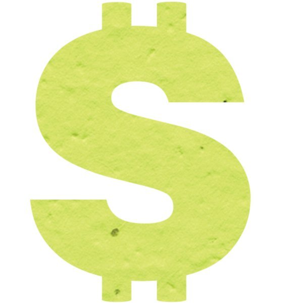 Dollar Sign Seed Paper Shape w/ Bookmark