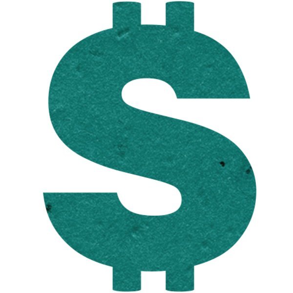 Dollar Sign Seed Paper Shape w/ Bookmark