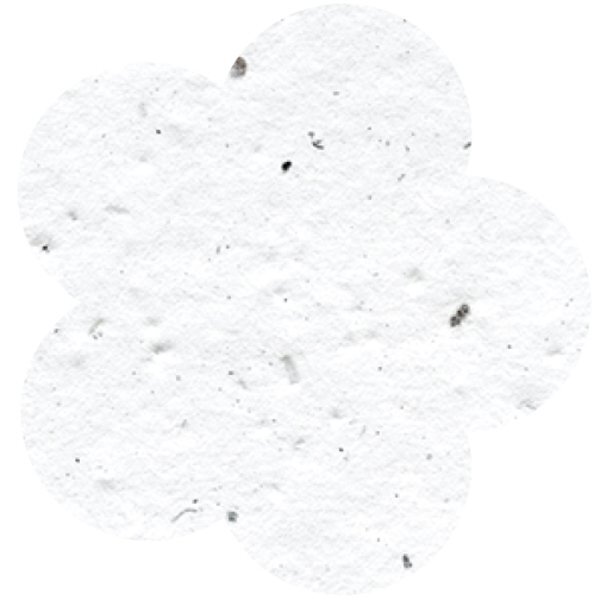 Flower Seed Paper Shape w/ Bookmark