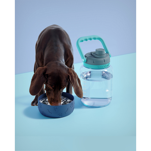Asobu® Barkley Tritan Bottle & Dog Bowl, 50oz.
