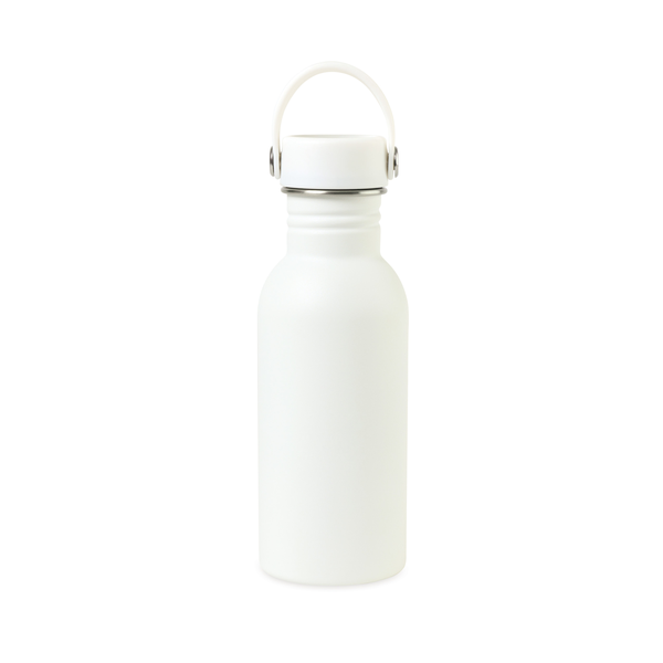 Arlo Classics Stainless Steel Hydration Bottle, 17oz.