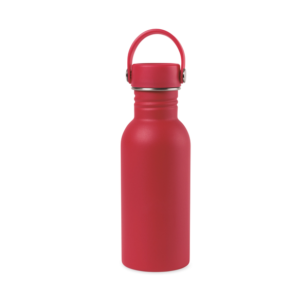 Arlo Classics Stainless Steel Hydration Bottle, 17oz.
