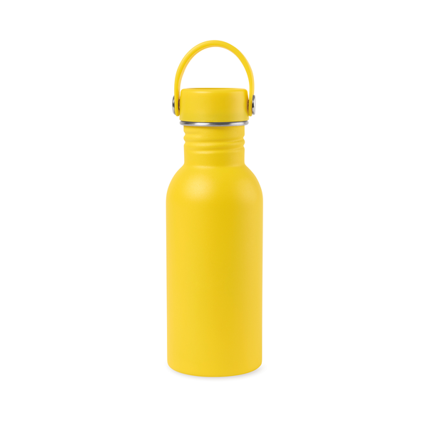 Arlo Classics Stainless Steel Hydration Bottle, 17oz.