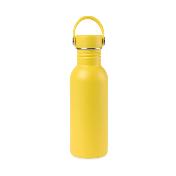 Arlo Classics Stainless Steel Hydration Bottle, 20oz.