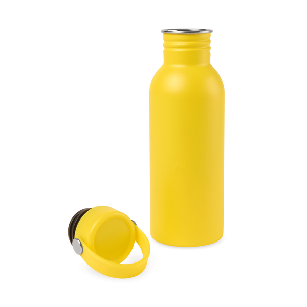 Arlo Classics Stainless Steel Hydration Bottle, 20oz.