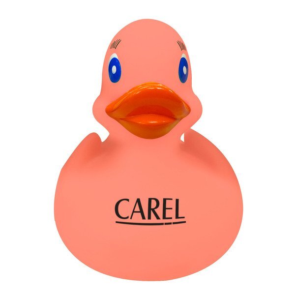 Color Changing Rubber Duck