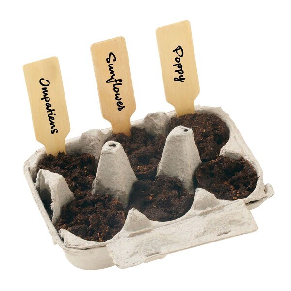 Grow Your Own Garden of Hope Seed Kit