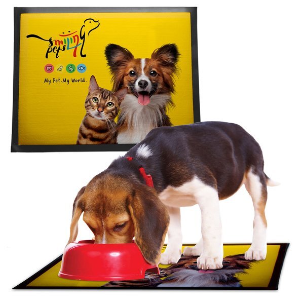 Heavy Duty Rubber-Backed Pet Mat
