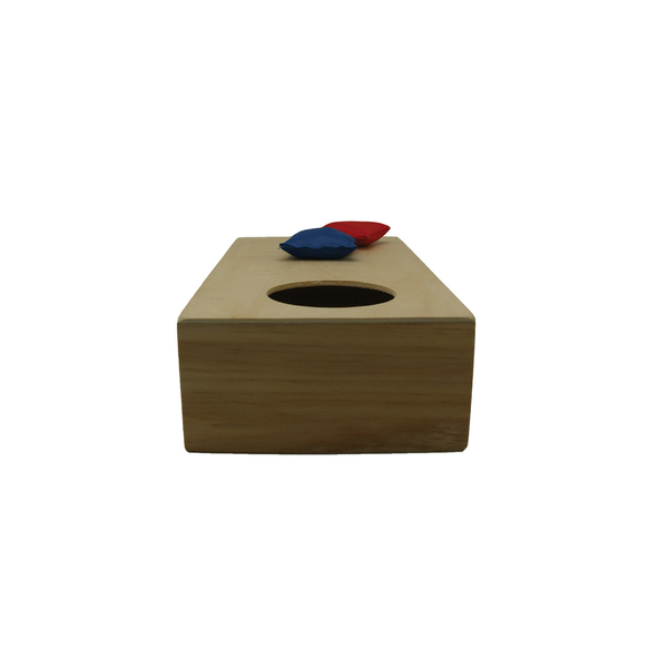 Desk Top Bean Bag Game