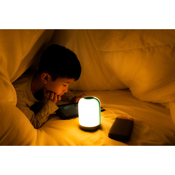 BioLite® Alpenglow 250 Rechargeable Lantern