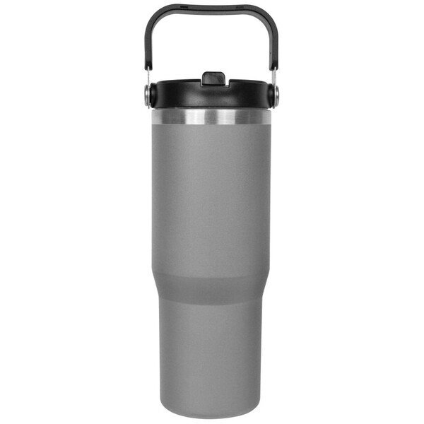 Stainless Steel Insulated Mug w/ Handle & Straw, 30oz.
