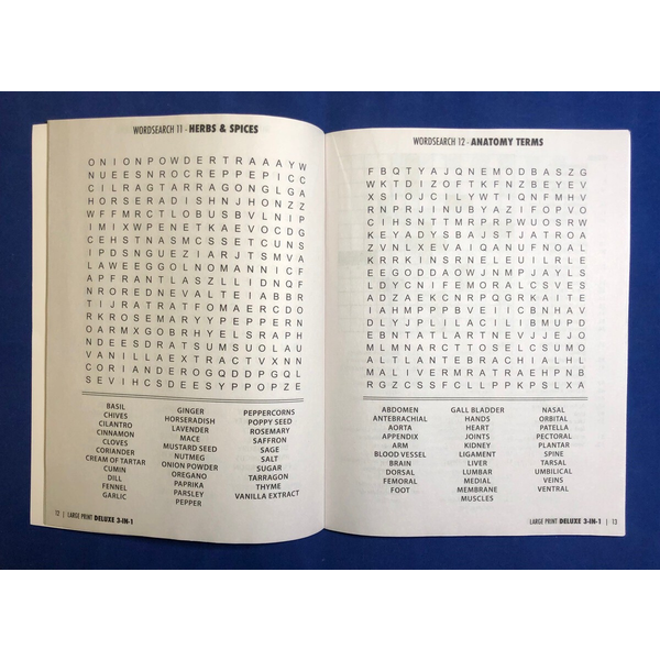 LARGE PRINT Deluxe 3-in-1 Puzzle Book Volume 2