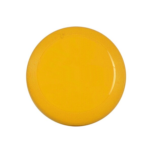 Cute Mini Custom Flyer, 5"