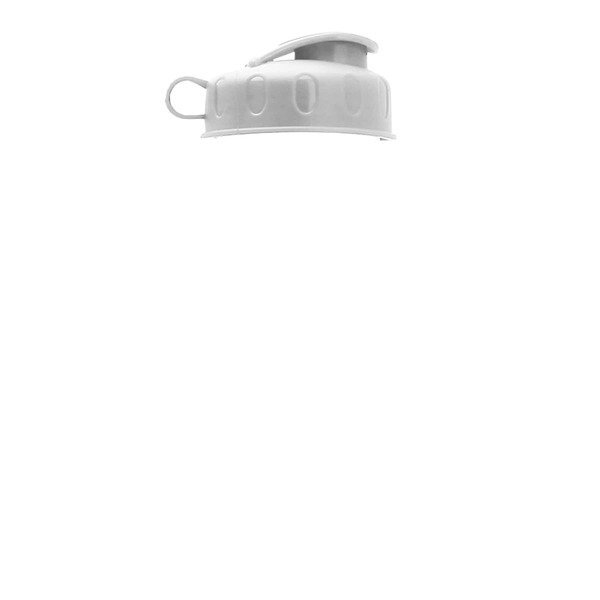 UpCycle rPET Bottle w/ Flip Top Lid, 20oz.