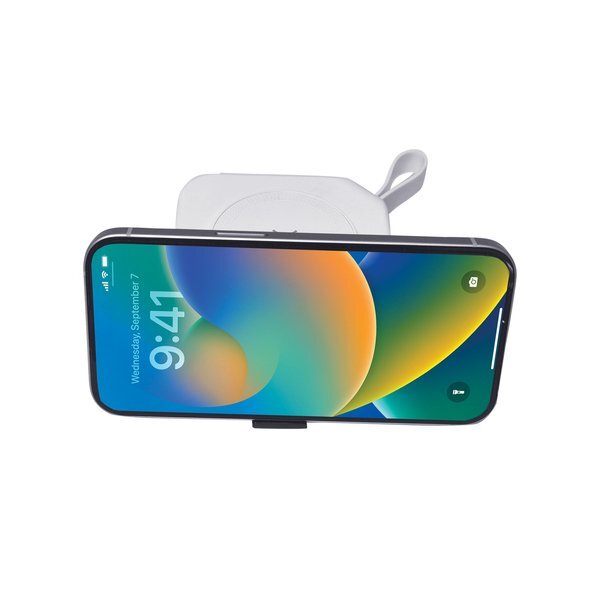 Ultimate Power Charger