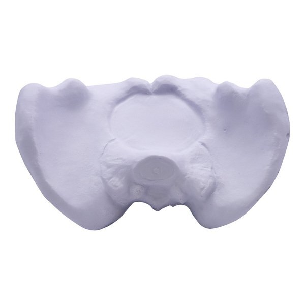 Hip Bone Stress Reliever