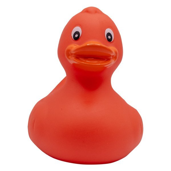 Colorful Rubber Duck