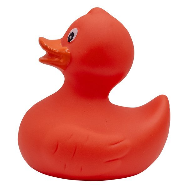 Colorful Rubber Duck