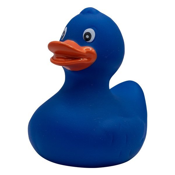 Colorful Rubber Duck