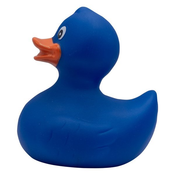 Colorful Rubber Duck