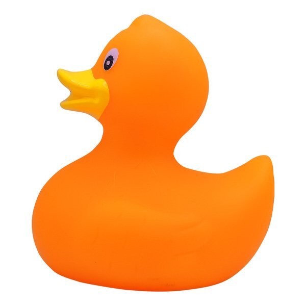 Colorful Rubber Duck